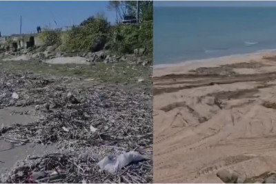 Astarada dənizkənarı ərazilərdəki antisanitariya aradan qaldırılıb - VİDEO