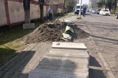 Lənkəranda abadlıq işləri davam etdirilir - FOTO