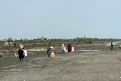 Lənkəranda ekoloji aksiya keçirilib - FOTO