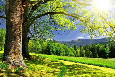 Sabah 33 dərəcə isti olacaq - PROQNOZ