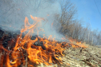 Biləsuvarda yanğın olub