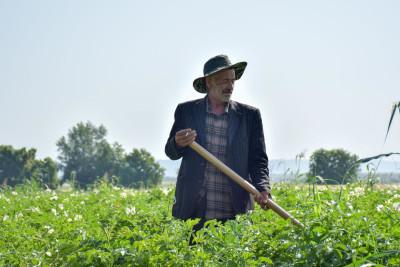 Bu fermerlərə 15 min manat ayrılacaq