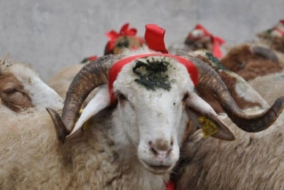 Qurban bayramında 4 gün ardıcıl iş olmayacaq