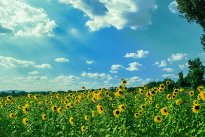 Sabah 30 dərəcə isti olacaq