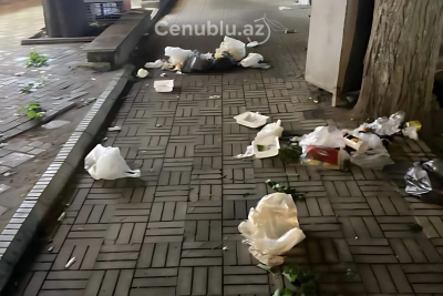 Lənkəranın mərkəzində antisanitar vəziyyət