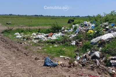 Astarada çəltik sahələrinin ətrafı zibilliyə çevrilib - VİDEO