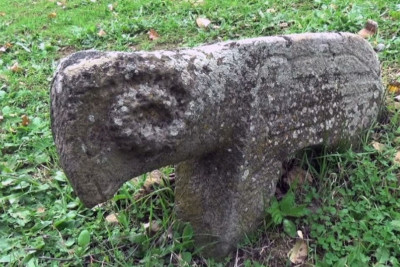 Cəlilabadda aşkarlanan qədim qoç heykəlləri - Onlar nə zaman rəsmi qeydiyyata alınacaq?