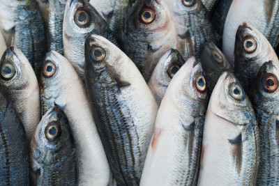 Balıq tutdu – HƏBS EDİLDİ