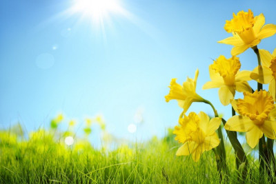 Sabah hava necə olacaq?