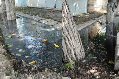 Biləsuvarda kanalizasiya “fontan” vurur - ŞİKAYƏT