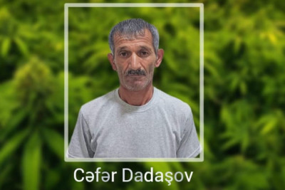 Yaşadığı evin həyətində narkotik tərkibli bitkilər yetişdirən şəxs saxlanılıb