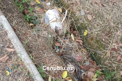 Lənkəranda xəndəklərin təmizlənməsinə ehtiyac var - ŞİKAYƏT