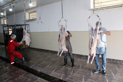 Lənkəranda da xüsusi ət kəsimi məntəqəsi fəaliyyət göstərir - VİDEO