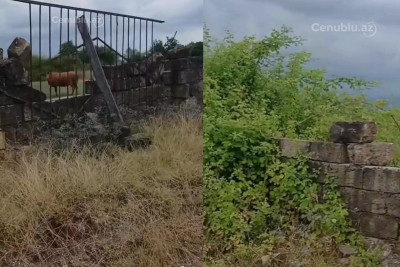 Astarada qəbiristanlıqda sahibsizlik hökm sürür - VİDEO