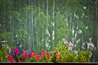 Sabah yağış yağacaq - PROQNOZ