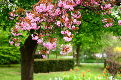 Sabah 37 dərəcə isti olacaq - PROQNOZ