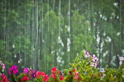 Sabah yağış yağacaq