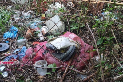 Masallıda meşə massivi gizli şəkildə çirkləndirilir - FOTO