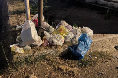 Lənkəranda Heydər Əliyev prospektində baxımsızlıq: Sakinlər narazıdır