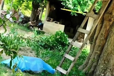 Astarada 55 yaşlı kişi ağacdan yıxılaraq ölüb