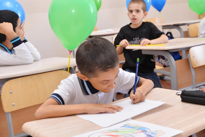 Sağlamlıq imkanı məhdud uşaqların I sinfə qəbulu şərtləri açıqlanıb