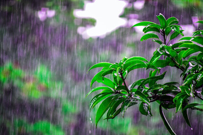 Bəzi yerlərdə yağıntılı və küləkli hava müşahidə olunub