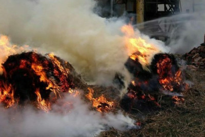 Masallıda yanğın oldu