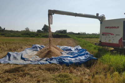 Astaralı fermerlər 300 hektar sahədə çəltik yetişdiriblər - VİDEO