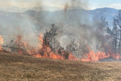 Cəlilabadda yanğın törədən şəxs cəzalandırılıb