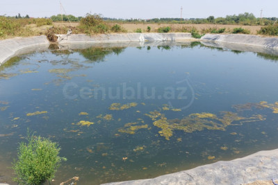 Lənkəranda yeniyetmə boğularaq ölüb