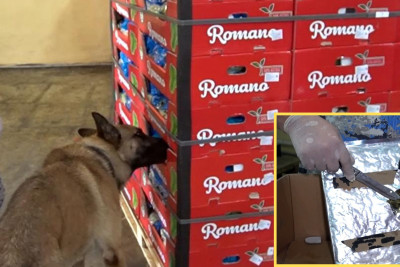 “Kahı” aparan avtomobildən 70 kiloqram marixuana aşkar edilib