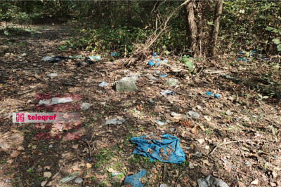 Lənkəranda “Sonalar bağı” viranəyə çevrilib