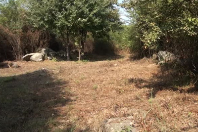 Qızılağac Milli Parkında yanğın