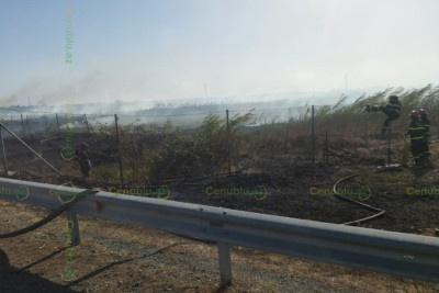 Yeni Ələt–Astara magistralında yanğın - VİDEO