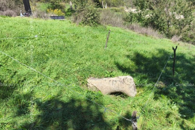 Cəlilabadda nadir heyvan heykəli sındırılıb