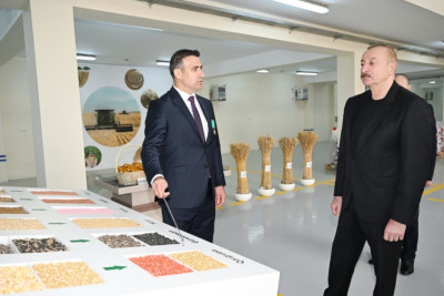 Prezidenti İlham Əliyev Sabirabad Sənaye Məhəlləsində toxum istehsalı müəssisəsinin fəaliyyəti ilə tanış olub - FOTO
