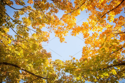 Sabah hava necə olacaq?