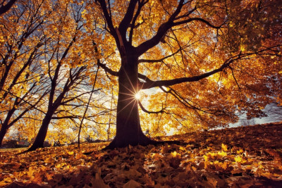 Noyabrın son günü gözlənilən hava açıqlanıb