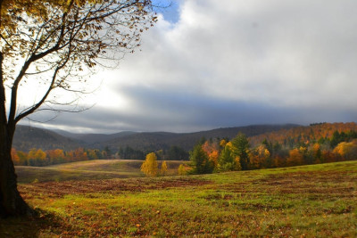 Sabah hava necə olacaq?