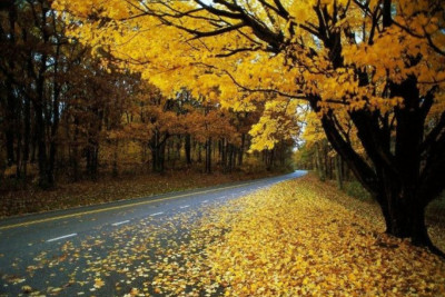 Sabahın hava proqnozu açıqlanıb