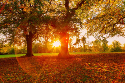 Sabahın hava proqnozu açıqlanıb