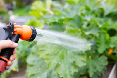 Deputat: "Kəndlilərin çoxu torpağını suvarmaq üçün su tapmır"