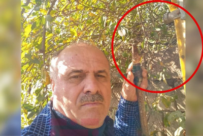 Masallıda borcunu ödəyən abonentin qazı bərpa olunmur