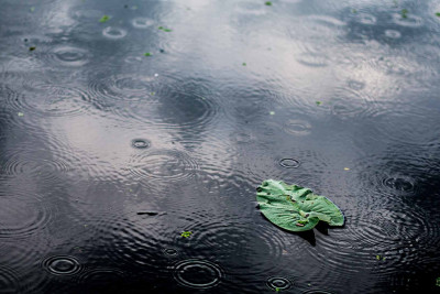 Sabahın havası açıqlanıb