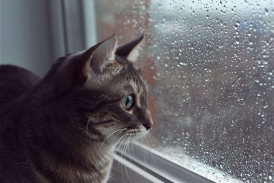 Sabah hava necə olacaq?