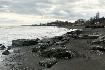 Xəzər dənizində sahilə yaxın ərazilərdə balıq ehtiyatı azalıb