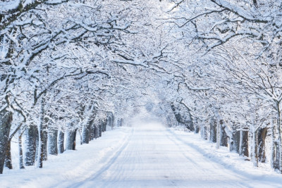 Bayram günlərinin hava proqnozu açıqlanıb