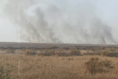 Cəlilabadda ovçuluq təsərrüfatı ərazisində yanğın başlayıb - VİDEO