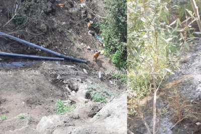 Lerikdə su mənbəyi təhlükə altındadır