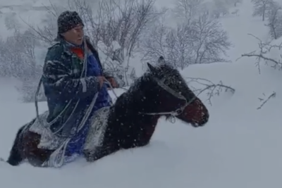 Lerikin kəndlərinin elektrik enerjisi ilə təchizatı bərpa ediləcək